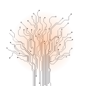 Afbeelding van socialmedia-activiteit en groei die laat zien hoe algoritmes startups belonen voor consistent posten – onderdeel van social media strategie blog van Viranex.